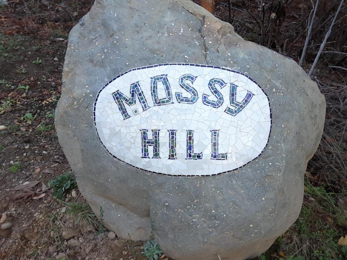 Mossy Hill Suite Ganges Ngoại thất bức ảnh